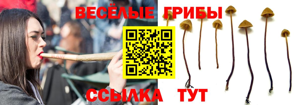 Галлюциногенные грибы прущие грибы Карталы